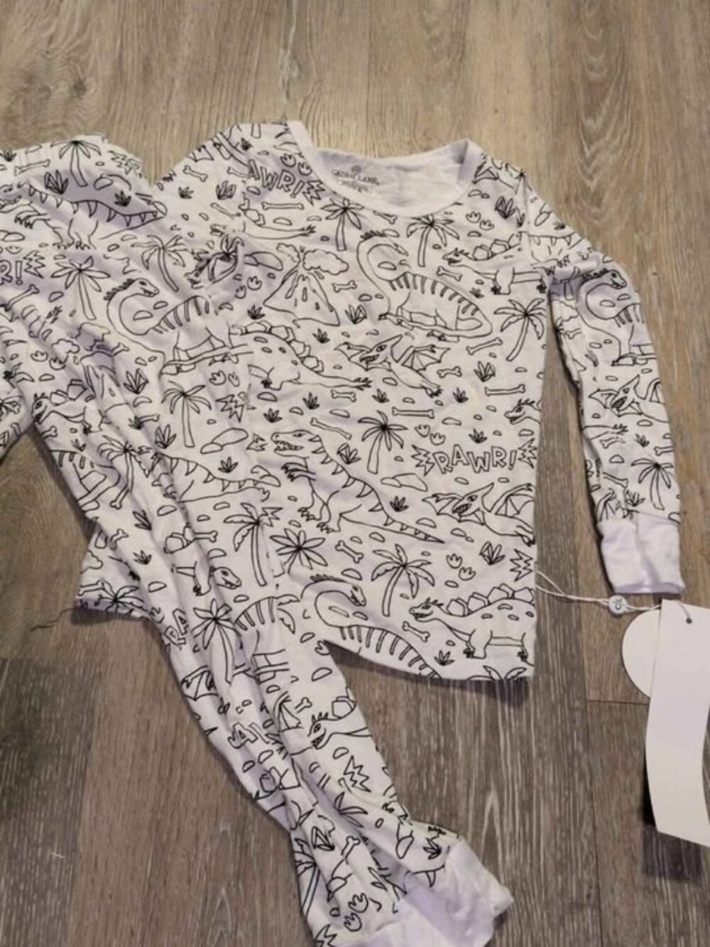 Caden Lane Dinosaur Pajama Set Size 5/6 new
